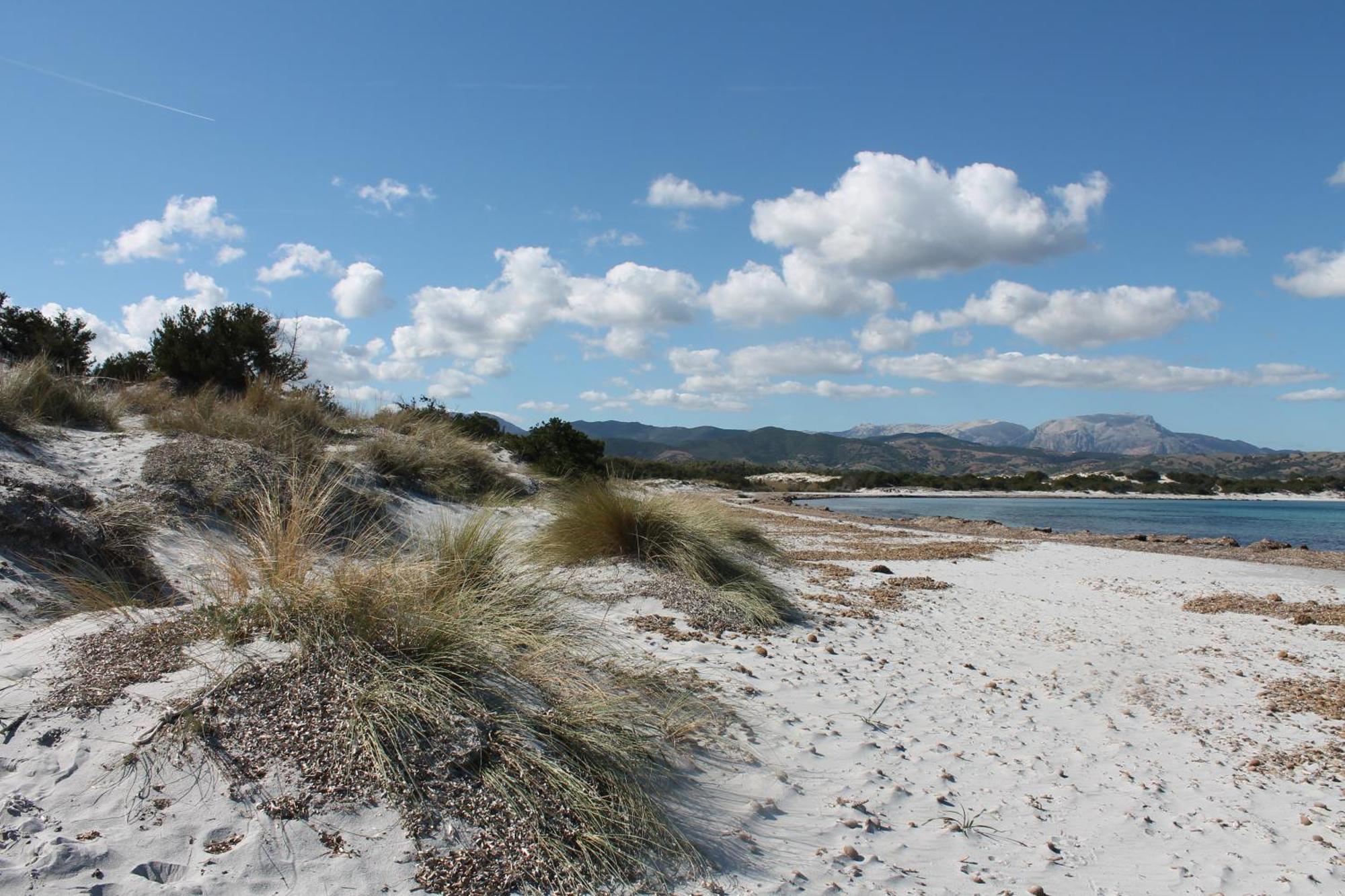 Villetta 1.2 Km Dalla Spiaggia Budoniaffitti Tanaunella Eksteriør billede